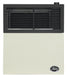 Ashley Hearth DVAG11N 11,000 BTU direct vent natural gas wall heater — front view