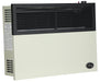Ashley Hearth DVAG17L 17,000 BTU direct vent propane wall heater — right three-quarter angle view