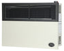 Ashley Hearth DVAG17N 17,000 BTU direct vent natural gas wall heater — left three-quarter angle view
