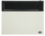 Ashley Hearth DVAG30N 25,000 BTU direct vent natural gas wall heater — front view