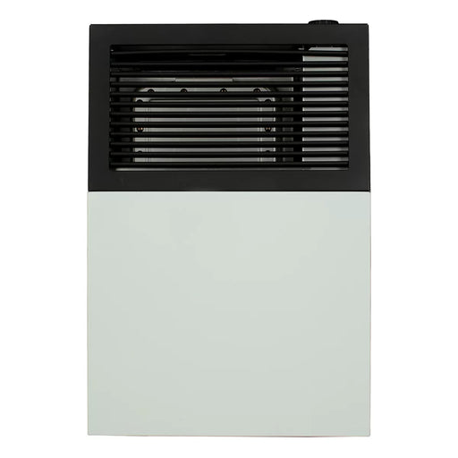 Ashley Hearth DVAG8N 8,000 BTU direct vent natural gas wall heater — front view
