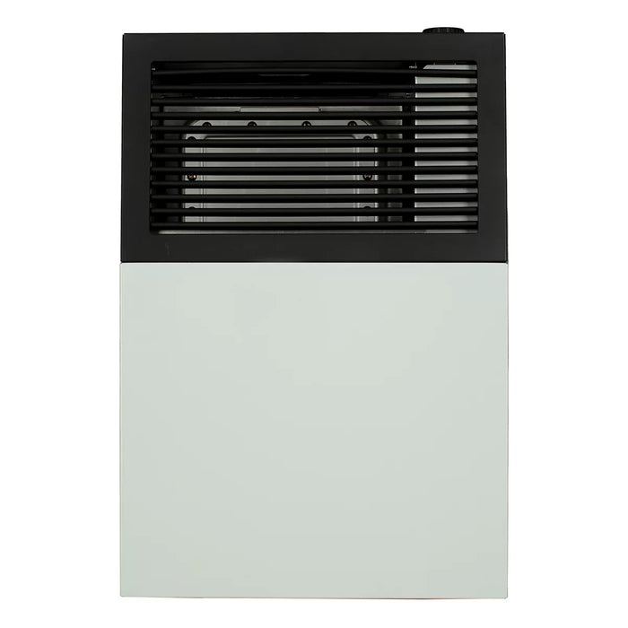 Ashley Hearth DVAG8N 8,000 BTU direct vent natural gas wall heater — front view