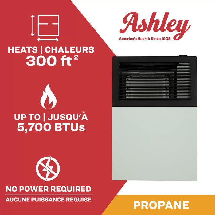 Ashley Hearth DVAG8L 8,000 BTU direct vent propane wall heater — heats up to 300 sq ft, no electricity required