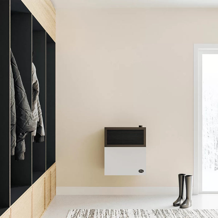 Ashley Hearth DVAG11N 11,000 BTU direct vent natural gas wall heater wall mounted in a living room beside a window