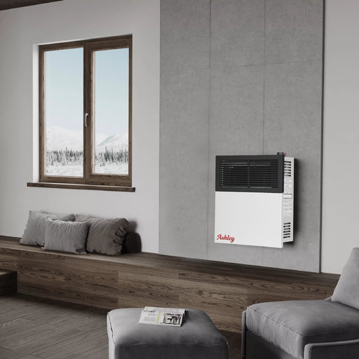 Ashley Hearth DVAG11-DF 11,000 BTU direct vent dual fuel wall heater wall mounted in a living room beside a window