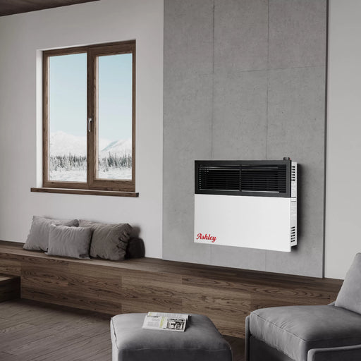 Ashley Hearth DVAG17-DF 17,000 BTU direct vent dual fuel wall heater wall mounted in a living room beside a window