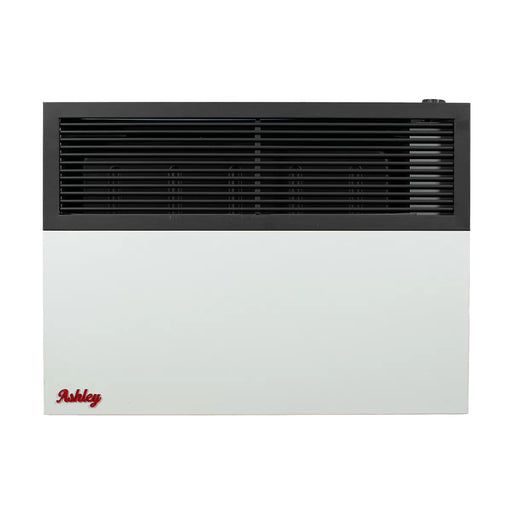 Ashley Hearth DVAG17-DF 17,000 BTU direct vent dual fuel wall heater — front view