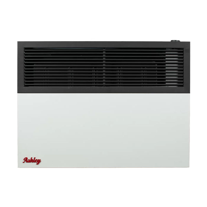 Ashley Hearth DVAG17-DF 17,000 BTU direct vent dual fuel wall heater — front view