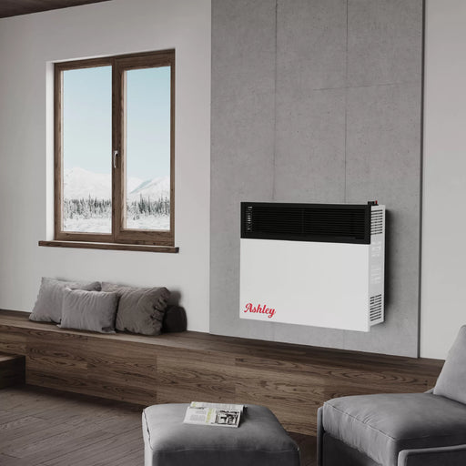Ashley Hearth DVAG25-DF 25,000 BTU direct vent dual fuel wall heater wall mounted in a living room beside a window