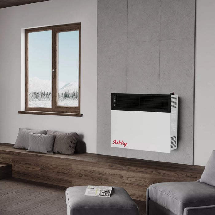 Ashley Hearth DVAG25-DF 25,000 BTU direct vent dual fuel wall heater wall mounted in a living room beside a window