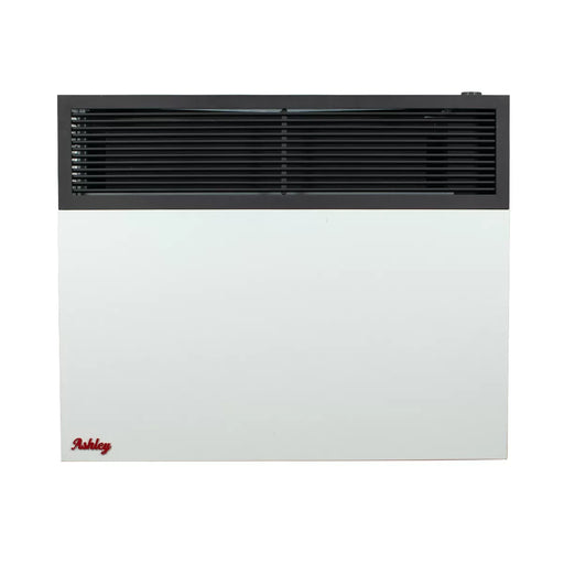 Ashley Hearth DVAG25-DF 25,000 BTU direct vent dual fuel wall heater — front view