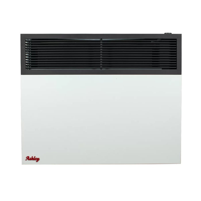 Ashley Hearth DVAG25-DF 25,000 BTU direct vent dual fuel wall heater — front view