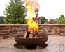 Ohio Flame Patriot Fire Pit — view 3