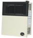 Ashley Hearth DVAG11 11,000 BTU Direct Vent Wall Heater