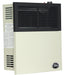 Ashley Hearth DVAG11 11,000 BTU Direct Vent Wall Heater