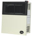 Ashley Hearth DVAG11 11,000 BTU Direct Vent Wall Heater