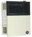 Ashley Hearth DVAG11 11,000 BTU Direct Vent Wall Heater