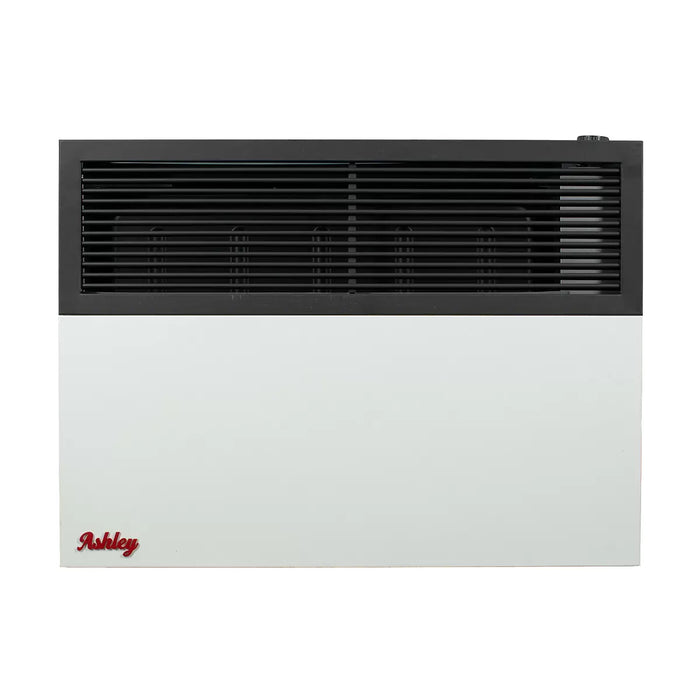 Ashley Hearth DVAG17 17,000 BTU Direct Vent Wall Heater
