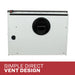 Ashley Hearth DVAG17 17,000 BTU Direct Vent Wall Heater