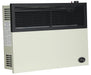 Ashley Hearth DVAG17L 17,000 BTU Direct Vent Propane Wall Heater