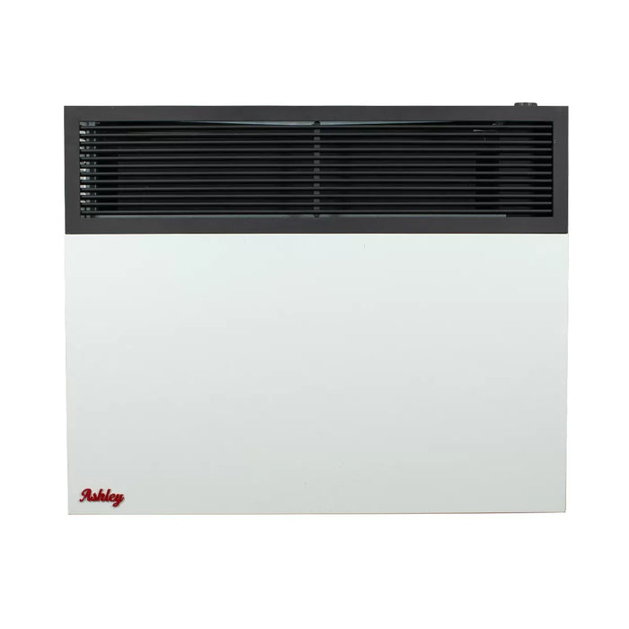 Ashley Hearth DVAG25-DF 25,000 BTU Direct Vent Dual Fuel Wall Heater