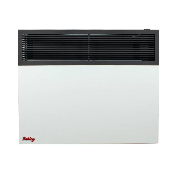 Ashley Hearth DVAG25 / DVAG30 25,000 BTU Direct Vent Wall Heater