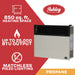 Ashley Hearth DVAG30L 25,000 BTU Direct Vent Propane Wall Heater