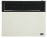 Ashley Hearth DVAG30N 25,000 BTU Direct Vent Natural Gas Wall Heater
