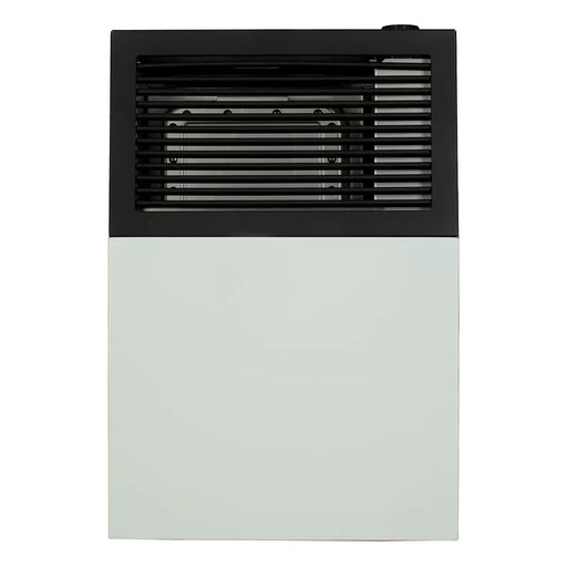 Ashley Hearth DVAG8 8,000 BTU Direct Vent Wall Heater
