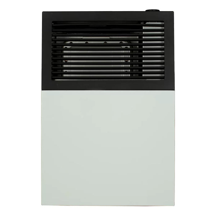 Ashley Hearth DVAG8 8,000 BTU Direct Vent Wall Heater