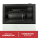 Ashley Hearth DVAG8 8,000 BTU Direct Vent Wall Heater