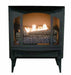 Buck Stove Model T-33 Natural Gas Stove with Legs and Blower