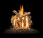 Grand Canyon Arizona Juniper 2-Burner Gas Log Burner System