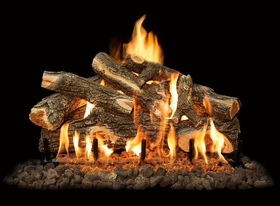 Grand Canyon Arizona Weathered Oak 2-Burner Gas Log Burner System