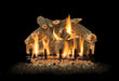 Grand Canyon Arizona Weathered Oak 2-Burner Gas Log Burner System