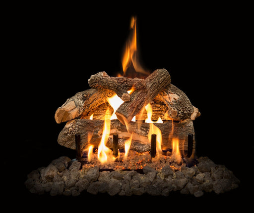 Grand Canyon Arizona Weathered Oak 2-Burner Gas Log Burner System