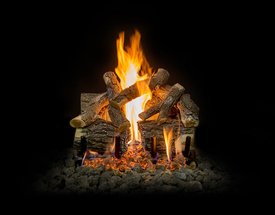 Grand Canyon Arizona Weathered Oak Charred 2-Burner Gas Log Burner System