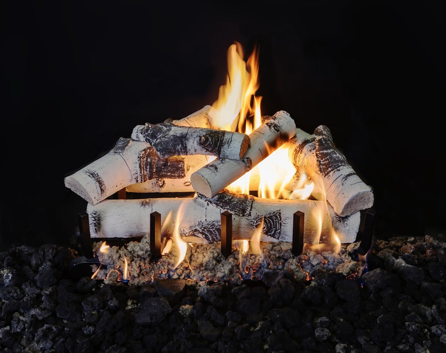 Grand Canyon Quaking Aspen 2-Burner Gas Log Burner System