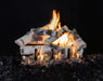 Grand Canyon Quaking Aspen 2-Burner Gas Log Burner System