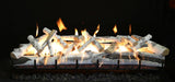 Grand Canyon Quaking Aspen 2-Burner Gas Log Burner System