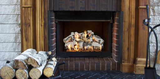 Grand Canyon Quaking Aspen 2-Burner Gas Log Burner System