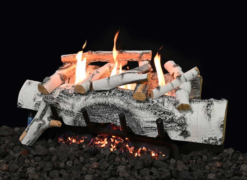 Grand Canyon Vulcan Vent-Free Aspen Birch Burner System