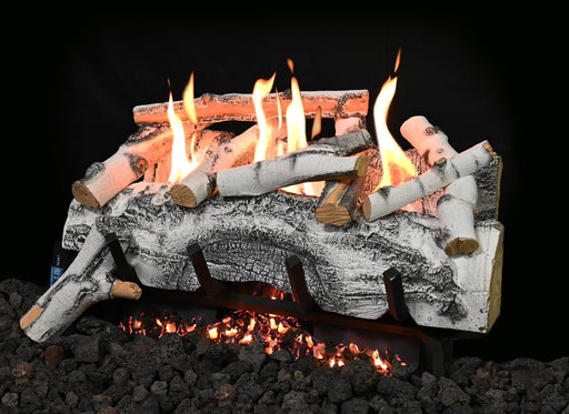 Grand Canyon Vulcan Vent-Free Aspen Birch Burner System