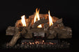 Grand Canyon Vulcan Vent-Free Red Oak Burner System