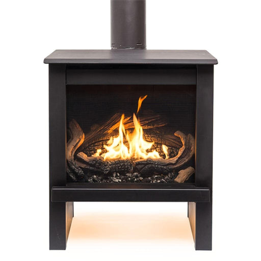 True North TN24 Direct Vent Gas Stove