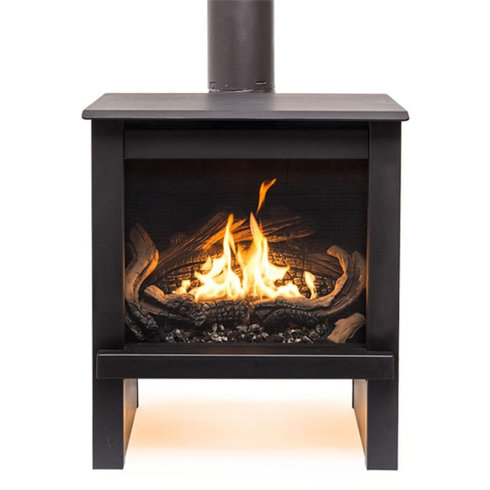 True North TN24 Direct Vent Gas Stove