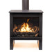 True North TN24 Direct Vent Gas Stove