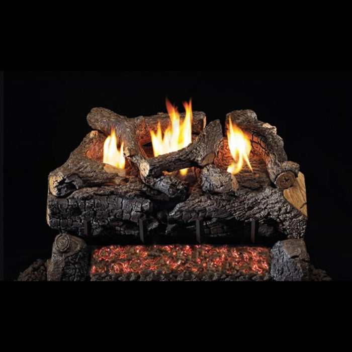 Real Fyre Evening Fyre Charred 24-Inch See-Through Vent-Free Gas Log Set Insert